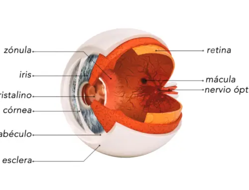 Descifrando el Agujero Macular: Causas y Tratamientos
