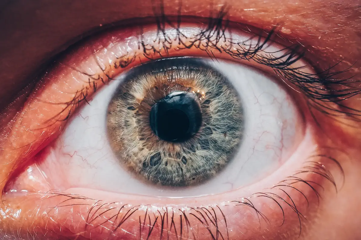 portada glaucoma